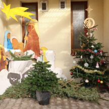 Vánoční stromky do školek (42)