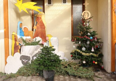 Vánoční stromky do školek (42)