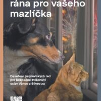 Silvestr rána pro vašeho mazlíčka