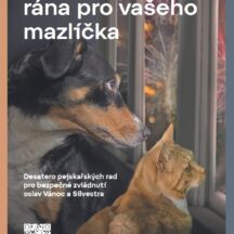Silvestr rána pro vašeho mazlíčka
