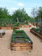 zahrada Prokopka 2026