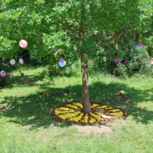 Land art (110)
