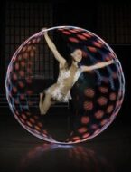 Cyr Wheel 2