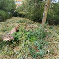 Velka Ohrada_5.8._uklid (2)