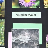 IMG_8996
