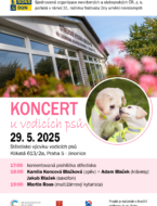 Koncert_v_SVVP
